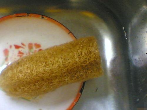 吃瓜厨房洗碗的网红,揭秘厨房清洁背后的辛酸与欢乐  第2张