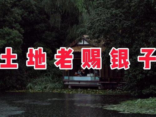 民间土地爆料视频,真实事件背后的土地争议与维权之路  第3张
