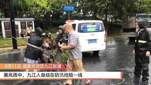 成都双流新闻爆料,突发事件引发关注,详情即将揭晓 第1张 成都双流新闻爆料,突发事件引发关注,详情即将揭晓 第1张